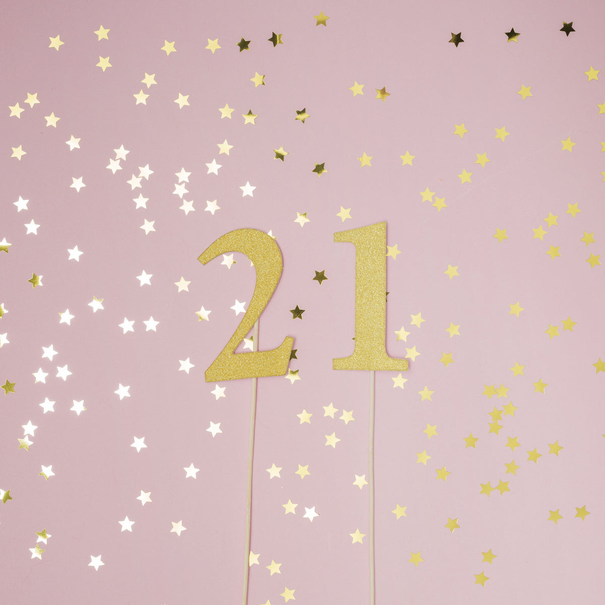 21st Birthday Party