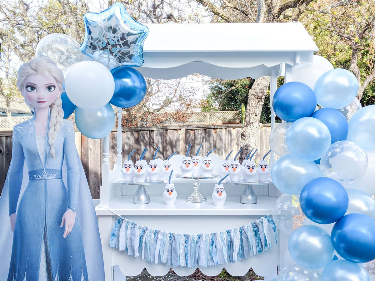 Party Trend: Five Must-Have Elements for a Perfect Frozen Party — Shimmer &  Confetti