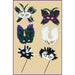 ULTIMA FANCI FEATHER MASK 6 ASST (1/PK)