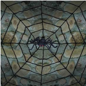 Rope Spider Web with Posable Spider Halloween Decoration