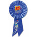75 & Splendid 75th Birthday Rosette