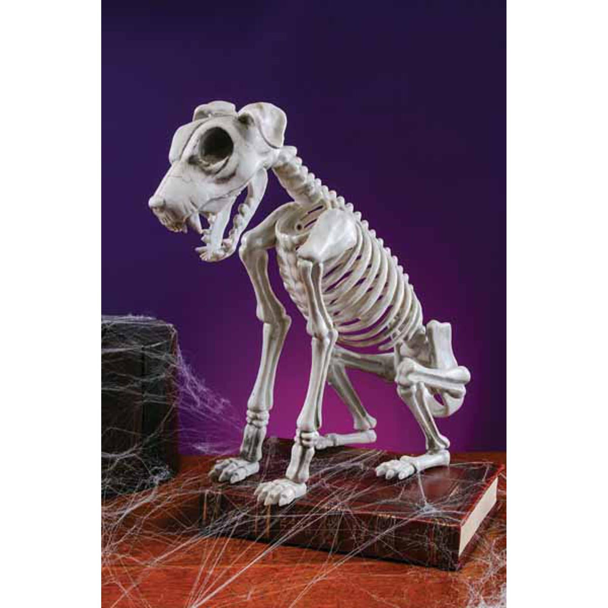 15.75 Spooky Skele-Dog Skeleton Decoration — Shimmer & Confetti