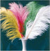 Small Yellow Ostrich Plume