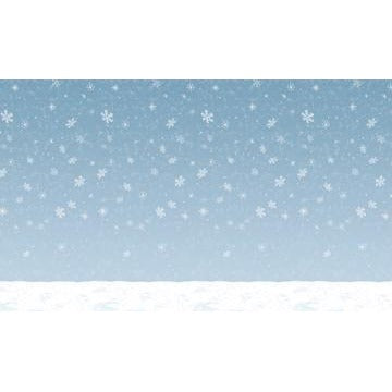 Winter Sky Backdrop, 4 ft x 30 ft