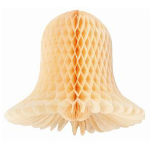 24" Westminster Bell Apricot Bulk – Delicious And Nutritious!