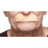 Blonde Brush Moustache Costume Accessory, 10 x 3 cm