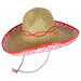 Sombrero Party Hat, One Size Fits Most