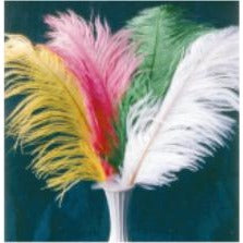 Small Green Ostrich Plume