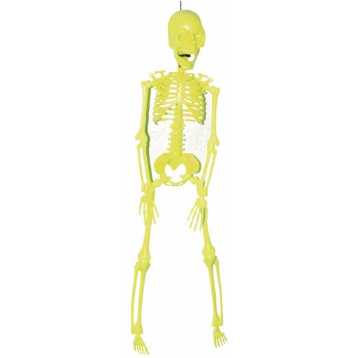 Assortiment de décorations d'Halloween squelette néon