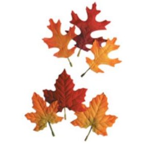 Assorted Oak & Maple Autumn Leaves, 12 Count