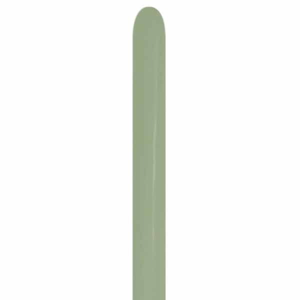 Sempertex Eucalyptus #027 260 Twisting Balloons, 50 Count