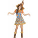 Cornfield Cutie Child Costume, Size 8/10