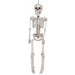 36-Inch Realistic Plastic Skeleton Halloween Prop