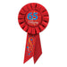 65 & Amazing 65th Birthday Rosette