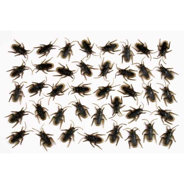 Creepy Creature Cockroach Decorations, 40 Count