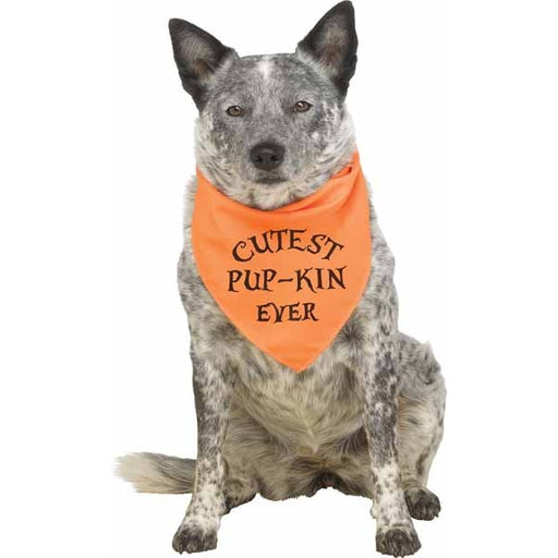 Pup Howloween Orange Dog Bandana, Small/Medium