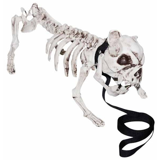 Skeleton Dog Halloween Decoration