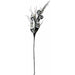 Black Branch with 5 Skulls Halloween Decoration