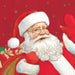 Happy Santa 3-Ply Christmas Luncheon Napkins, 20-Pack
