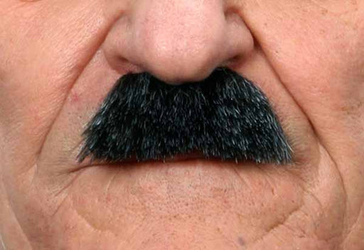 Black and Grey Costume Moustache, 6 x 2.5 cm