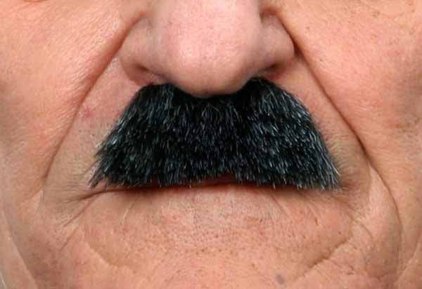 Black and Grey Costume Moustache, 6 x 2.5 cm
