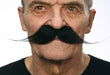 Oversized Black Costume Moustache, 25 cm