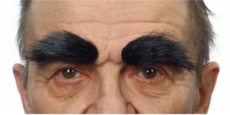 Black and Grey Costume Eyebrow, 6 x 2.5 cm