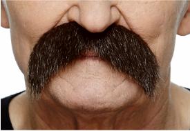 MOUSTACHE BROWN W/RD FLECKS 11CM X 6 CM