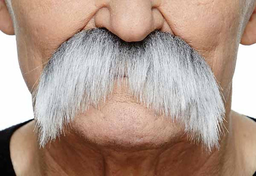 White and Grey Costume Moustache, 11 x 6 cm