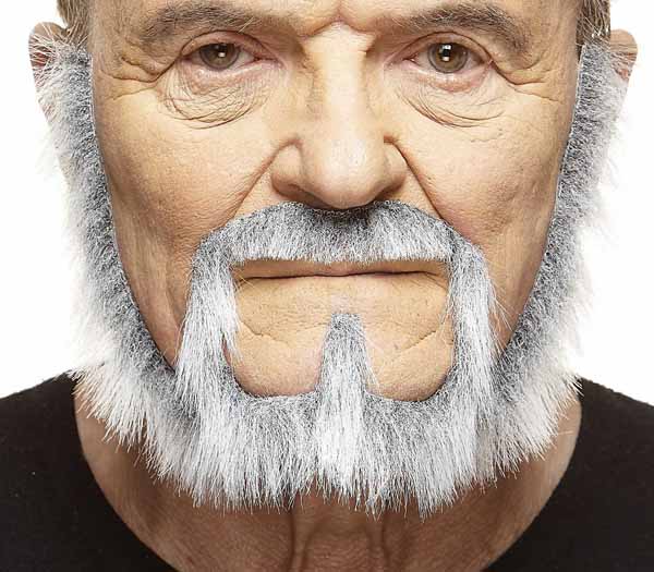 White and Grey Costume Moustache and Beard Set
