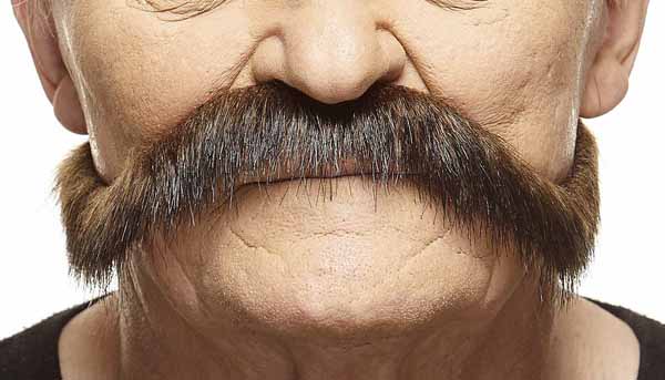MOUSTACHE BROWN/RED 29 CM X 7 CM