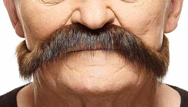 MOUSTACHE BROWN/RED 29 CM X 7 CM