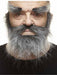 Grey Moustache, Beard and Eyebrow Costume Set