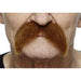 Auburn Moustache - Self Adhesive