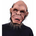 "Baldy Bigfoot Plush Toy - 12 Inches Tall"