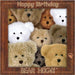 Boyds Bears Birthday Collection - 16 Adorable Bears In A Package!