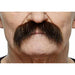 Flecks Moustache Accessory - Brown/Red Flecks