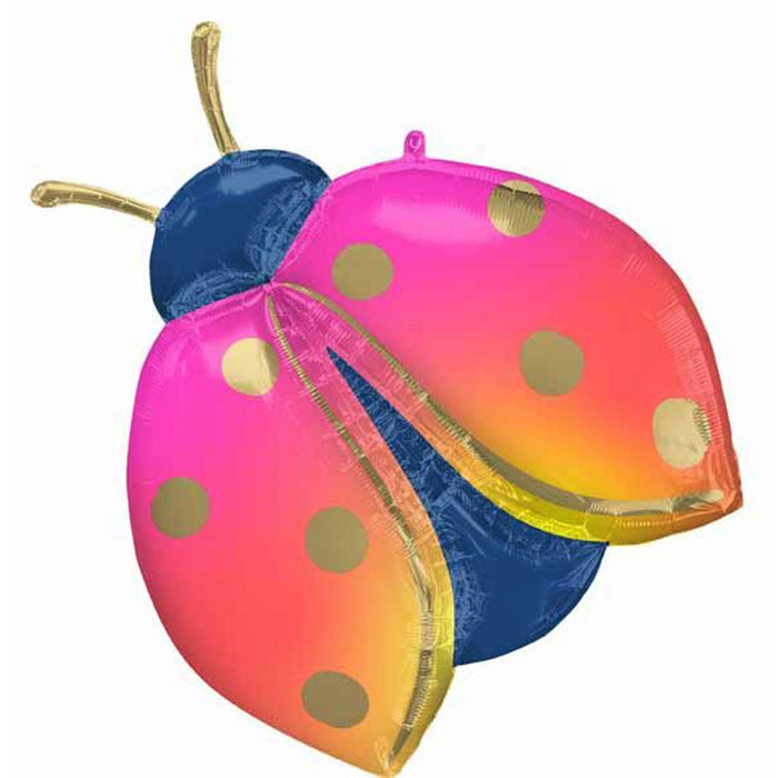 "Colorful Ladybug Party Balloon Package"