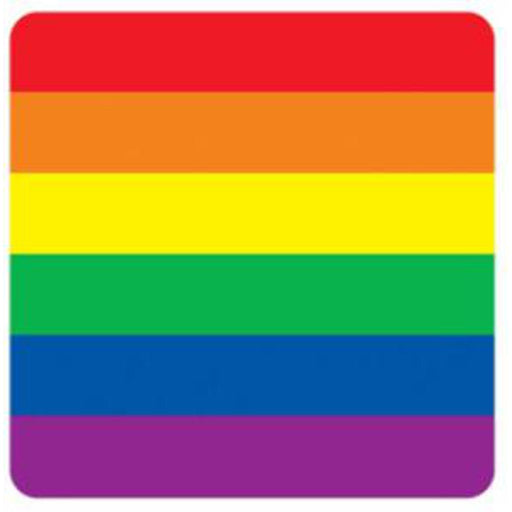 Colorful Rainbow Coasters (8/Pkg) - 3½" Diameter