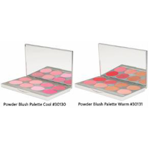 Cool Powder Blush Palette