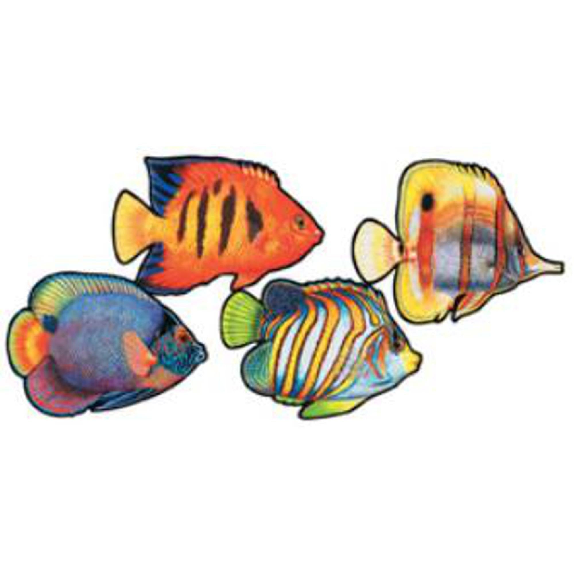 Coral_Reef.jpg?v=1685765304