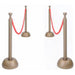 Crowd Control Stanchion Set