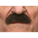 Dark Brown Moustache