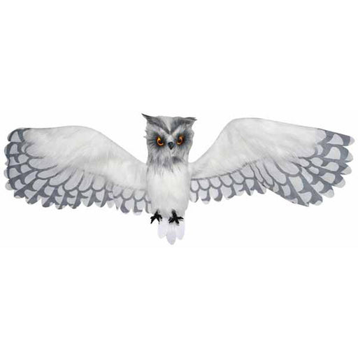 "Fly The Stunning White Owl Drone"