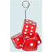 Fun Dice Photo/Balloon Holder For Parties!
