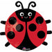 Happy Ladybug Balloon Package.