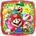 Mario Bros Super 60 Pillow Package