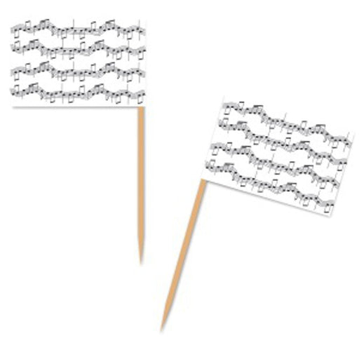 Musical Notes Picks