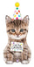 Cue the Cat Fetti 41-Inch Cat-Themed Foil Balloon