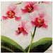 Orchid Luncheon Napkins - 20 Pack (3-Ply)